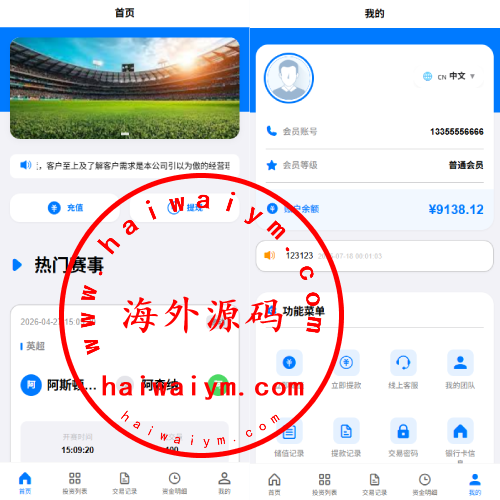 海外反波胆系统/电脑自适应/球盘源码/足球下注